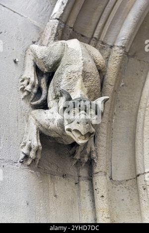 Wasserspeier an der Mauer eines mittelalterlichen Gebäudes. Rouen, Frankreich, Europa Stockfoto