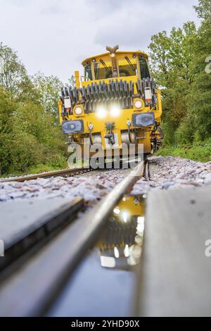 Gelbes Eisenbahnfahrzeug auf Gleisen aus niedriger Perspektive, Bäume im Hintergrund, Stanzmaschine, Hermann Hessebahn, Calw, Schwarzwald, Deutschland, Eur Stockfoto