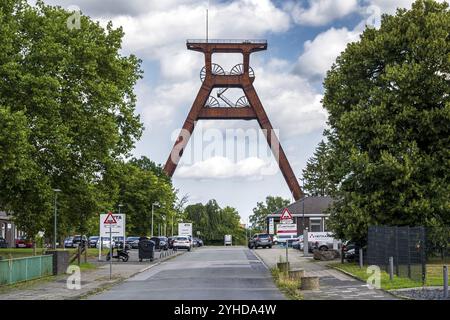 Ein gewundener Turm steht im Hintergrund einer von Bäumen gesäumten Straße unter bewölktem Himmel, gewundener Turm der Zeche Pluto in Wanne-Eickel Stockfoto