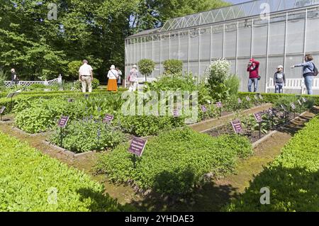 Moskau, Russland, 26. Mai 2018: Betten mit Heilpflanzen in Aptekarski Ogorod (einem Zweig des Botanischen Gartens der Moskauer Staatlichen Universität). Moskau, Stockfoto