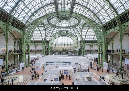 FRANKREICH. PARIS (75) (8. BEZIRK) PARIS FOTO 2024. DAS KULTURELLE EREIGNIS 'PARIS PHOTO', ZURÜCK IM GRAND PALAIS 2024 Stockfoto