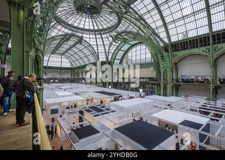 FRANKREICH. PARIS (75) (8. BEZIRK) PARIS FOTO 2024. DAS KULTURELLE EREIGNIS 'PARIS PHOTO', ZURÜCK IM GRAND PALAIS 2024 Stockfoto