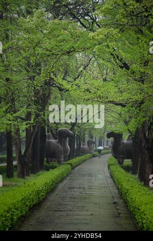 Xiaoling-Grab, Nanjing, Jiangsu Provinz, China, Asien Stockfoto