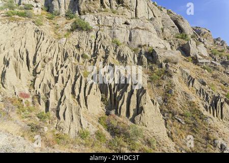 Ein bizarres Relief, das durch Bodenerosion und Verwitterung auf einem Tonhang am Fuße des Kap Meganom entstanden ist. Krim, ein sonniger Tag im September Stockfoto