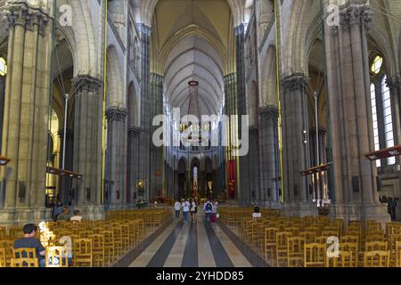 Lille, Frankreich, 1. September 2018: Zentrales Kirchenschiff der Basilika Notre Dame de la Treille. Lille, Frankreich, Europa Stockfoto