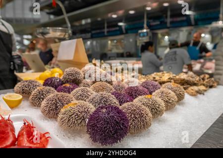 Nahaufnahme frischer Seeigel auf Eis, ausgestellt im Bereich Meeresfrüchte auf dem Central Market von Valencia, Spanien Stockfoto