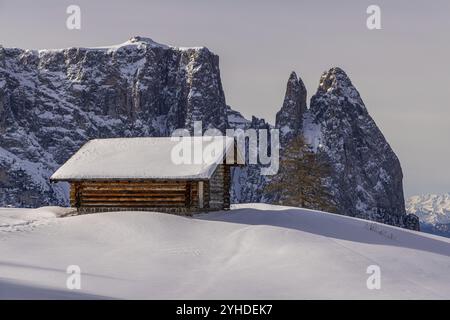 Wanderung auf der Seiser Alm, Südtirol, Italien, Europa Stockfoto