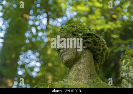 Fragment einer alten Steinstatue im italienischen Park, moosbedeckter Frauenkopf Stockfoto