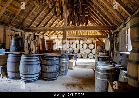 JAMESTOWN, Virginia – Ein rekonstruiertes Lagergebäude im Fort von Jamestown Settlement beherbergt zeitgenaue Fässer und landwirtschaftliche Geräte. Die Struktur zeigt, wie die frühen Kolonisten in der Siedlung von 1607 Vorräte und landwirtschaftliche Geräte lagerten. Die Ausstellung zeigt authentische Reproduktionen von Aufbewahrungsbehältern und landwirtschaftlichen Geräten aus dem 17. Jahrhundert. Stockfoto