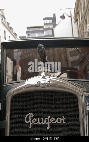 PARIS, FRANKREICH, 25. AUGUST 2010: Die Figur eines Löwen (Emblem der französischen Automarke Peugeot) auf der Motorhaube eines alten Autos Stockfoto