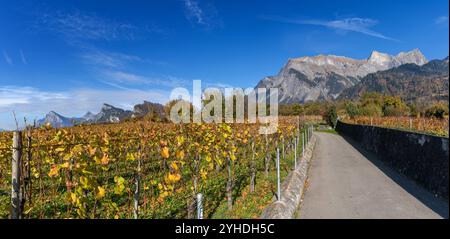 Panoramablick auf die Weinberge und Berge im Dorf Maienfeld in der Schweiz Stockfoto