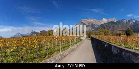 Panoramablick auf die Weinberge und Berge im Dorf Maienfeld in der Schweiz Stockfoto