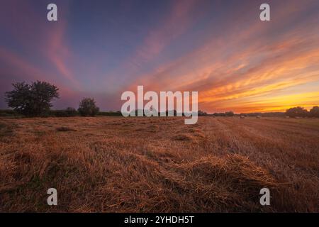 Stroh auf einem ländlichen Stoppelfeld und farbenfrohe Wolken nach Sonnenuntergang, Sommerblick in Ostpolen Stockfoto