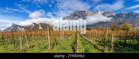 Panoramablick auf die Weinberge und Berge im Dorf Maienfeld in der Schweiz Stockfoto