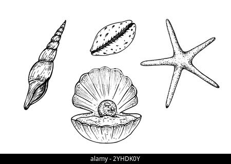 Vektor wunderschönes Set mit Muscheln, Seesterne. Handgemalte Linie geöffnete AusternMuschel mit Perle. Grafik-Clips isoliert auf Hintergrund. Unter Wasser Stock Vektor