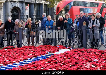 Cenotaph, London, Großbritannien. November 2024. Kränze am Tag des Waffenstillstands im Cenotaph in Whitehall, London. Quelle: Matthew Chattle/Alamy Live News Stockfoto