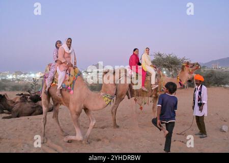 Puschkar, Rajasthan, Indien. November 2024. Die größte Kamelmesse der Welt in Puschkar. Die Pushkar Fair, auch bekannt als eine jährliche fünftägige Kamel- und Viehmesse, findet in der Stadt Pushkar, Ajmer, statt. Sie findet zwischen Oktober und November statt und ist eine der größten Viehmessen der Welt. (Kreditbild: © Shaukat Ahmed/Pacific Press via ZUMA Press Wire) NUR REDAKTIONELLE VERWENDUNG! Nicht für kommerzielle ZWECKE! Stockfoto