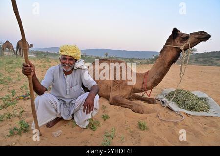 Puschkar, Rajasthan, Indien. November 2024. Die größte Kamelmesse der Welt in Puschkar. Die Pushkar Fair, auch bekannt als eine jährliche fünftägige Kamel- und Viehmesse, findet in der Stadt Pushkar, Ajmer, statt. Sie findet zwischen Oktober und November statt und ist eine der größten Viehmessen der Welt. (Kreditbild: © Shaukat Ahmed/Pacific Press via ZUMA Press Wire) NUR REDAKTIONELLE VERWENDUNG! Nicht für kommerzielle ZWECKE! Stockfoto