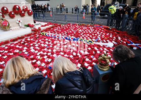 Cenotaph, London, Großbritannien. November 2024. Kränze am Tag des Waffenstillstands im Cenotaph in Whitehall, London. Quelle: Matthew Chattle/Alamy Live News Stockfoto