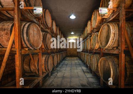 Prozess der Destillerie in Holzfässern in der Destillerie Alambique Flor do Vale Cachaca in Canela, Rio Grande do Sul, Brasilien Stockfoto