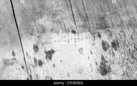 Alte graue, grungy Sperrholzplatte, schwarz-weiße Hintergrundfotostruktur Stockfoto