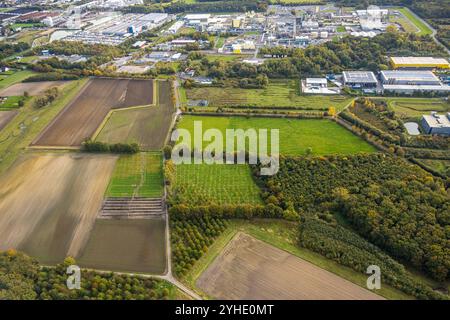 Luftbild, auf dem Südfelde Wiesen und Felder, Gewerbegebiet Frielinghauser Straße mit GOLDBECK Betonelemente GmbH, EVERLAM Chemiewerk, DuPont Uentrop und DuBay Polymer, Uentrop, Hamm, Ruhrgebiet, Nordrhein-Westfalen, Deutschland ACHTUNGxMINDESTHONORARx60xEURO *** Luftaufnahme, auf dem Südfelde Wiesen und Felder, Gewerbegebiet Frielinghauser Straße mit GOLDBECK Betonelemente GmbH, EVERLAM Chemiewerk, DuPont Uentrop und DuBay Polymer, Uentrop, Hamm, Ruhrgebiet, Nordrhein-Westfalen, Deutschland ATTENTIONxMINDESTHONORARx60xEURO Stockfoto