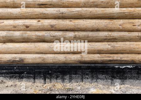 Neue Holzwand aus naturfarbenen Kiefernstämmen auf schwarzem Betonfundament, Frontalansicht, Hintergrundfotostruktur. Das Blockhaus befindet sich unter c Stockfoto