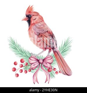 Aquarell Weihnachtsvogel roter Kardinal, mit Brunch, roten Beeren und Schleife, isoliert. Symbol für Weihnachten. Winterfestdekoration in Retro, Vintage Stock Vektor