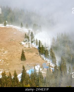 Kleine Hütte eingebettet in die Rodung am Berg, umgeben von dichten Kiefernwäldern. Die in Nebel gehüllte Szene schafft eine ruhige und geheimnisvolle Atmosphäre. Schneebesen liegen auf dem Boden. Stockfoto