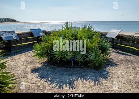 SULLIVAN's ISLAND, South Carolina – Thomson Park erinnert an die Schlacht von Sullivan’s Island am 28. Juni 1776, in der Colonel William 'Danger' Thomson erfolgreich Breach Inlet gegen britische Invasionsversuche verteidigte. Dieser entscheidende amerikanische Sieg, koordiniert mit der Verteidigung von Fort Sullivan (später Fort Moultrie), stellte einen der ersten großen Erfolge der Revolution dar und half Charleston bis 1780 vor der britischen Besatzung zu schützen. Stockfoto