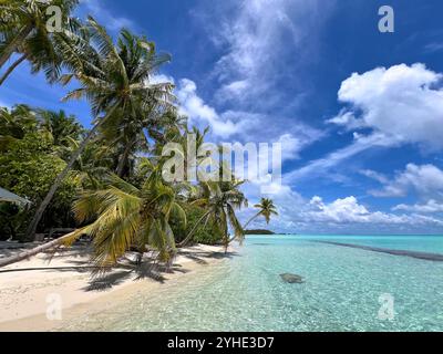 Männlich, Malediven. August 2024. Hotel COMO Maalifushi auf dem Thaa-Atoll der Malediven im Indischen Ozean in Male, Malediven, 10. August 2024. Fotografin: Michaela Strassmair/ddp Images/STAR-Images Pressefoto Credit: ddp Media GmbH/Alamy Live News Stockfoto