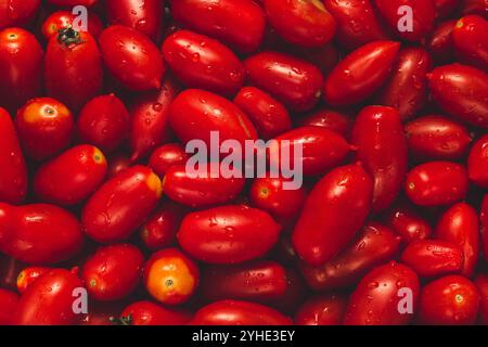 Ein Haufen reifer Pflaumenkirschtomaten mit Wassertropfen. Tomatenhintergrund. Stockfoto