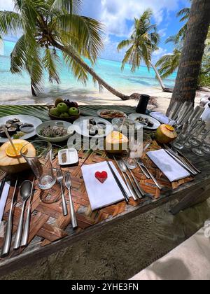 Männlich, Malediven. August 2024. Hotel COMO Maalifushi auf dem Thaa-Atoll der Malediven im Indischen Ozean in Male, Malediven, 10. August 2024. Fotografin: Michaela Strassmair/ddp Images/STAR-Images Pressefoto Credit: ddp Media GmbH/Alamy Live News Stockfoto