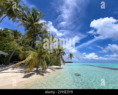 Hotel COMO Maalifushi auf dem Malediven Thaa-Atoll im Indischen Ozean in Male, Malediven, 10. August 2024. Stockfoto
