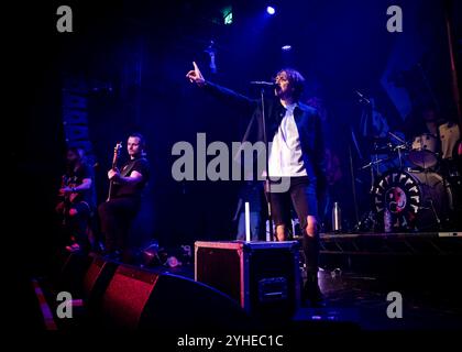 Fell Out Boy (Fall Out Boy Tribute Band) tritt an der O2 Academy Islington, London auf © Clarissa Debenham (Film Free Photography) / Alamy Stockfoto