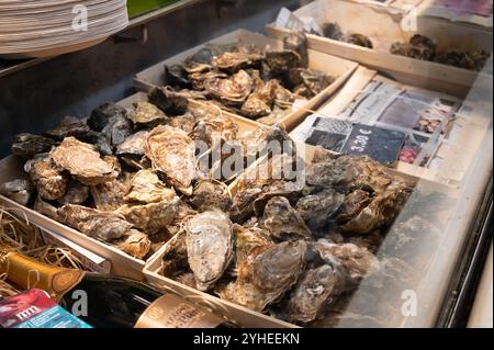 Frische Muscheln werden an einem belebten Fischtheke in Spanien präsentiert, die eine Kostprobe der Küstenküche und lokaler kulinarischer Traditionen bieten Stockfoto