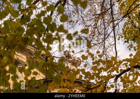 Blick auf Lemberg durch Herbstlaub-Tapete Stockfoto