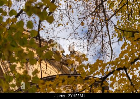 Blick auf Lemberg durch Herbstlaub-Tapete Stockfoto