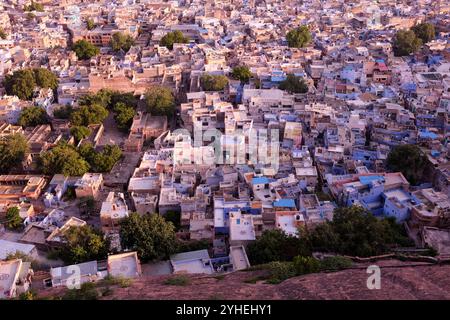 Aus der Vogelperspektive auf die blaue Stadt Jodphur, Rajasthan, vom Fort Mehrangarh, das hoch über der Stadt steht Stockfoto