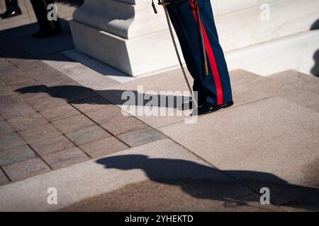 Arlington, Usa . November 2024. Vor der Zeremonie des Ehrenkranzes des Präsidenten am 11. November 2024 bewachen die Mitglieder des Militärs das Grab des unbekannten Soldaten auf dem Arlington National Cemetery in Arlington, Virginia. Foto: Bonnie Cash/Pool/SIPA USA Credit: SIPA USA/Alamy Live News Stockfoto