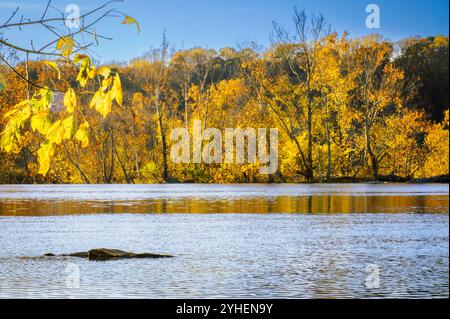 Herbstfarben am Ufer des Potomac River 3 Stockfoto