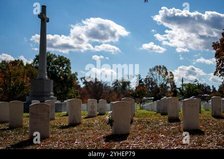 Arlington, Usa. November 2024. Die Blumen ruhen am Veterans Day auf dem Arlington National Cemetery in Arlington, Virginia, am Montag, den 11. November 2024. Foto: Bonnie Cash/UPI Credit: UPI/Alamy Live News Stockfoto