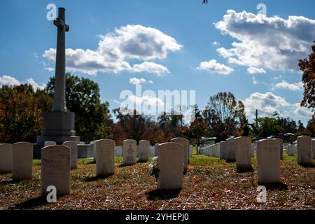 Arlington, Usa. November 2024. Die Blumen ruhen am Veterans Day auf dem Arlington National Cemetery in Arlington, Virginia, am Montag, den 11. November 2024. Foto: Bonnie Cash/Pool/ABACAPRESS. COM Credit: Abaca Press/Alamy Live News Stockfoto