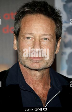 David Duchovny auf der Premiere von Netflix's „You People“ in Los Angeles am 17. Januar 2023 im Regency Village Theatre in Westwood, USA. Stockfoto