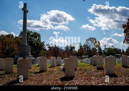 Arlington, Virginia, USA. November 2024. Die Blumen ruhen am Veterans Day auf dem Arlington National Cemetery in Arlington, Virginia, am Montag, den 11. November 2024. Kredit: Bonnie Cash/Pool über CNP/MediaPunch Kredit: MediaPunch Inc/Alamy Live News Stockfoto