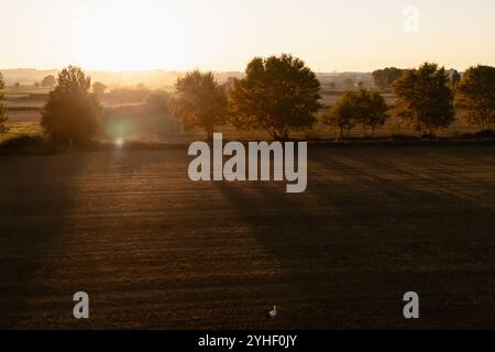 Luftaufnahme der Felder und Bäume in La Alfranca in Zaragoza, Spanien Stockfoto