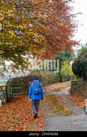 Eine Gruppe älterer, pensionierter U3A-Walking-Gruppen, die im Herbst durch die Landschaft von Cheshire in der Nähe von Bollington spazieren gehen Stockfoto