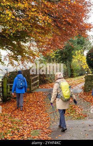 Eine Gruppe älterer, pensionierter U3A-Walking-Gruppen, die im Herbst durch die Landschaft von Cheshire in der Nähe von Bollington spazieren gehen Stockfoto