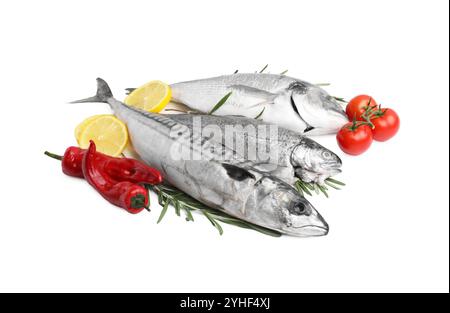 Meeresfrüchte. Verschiedene Arten von frischem Fisch mit Gewürzen und Tomaten isoliert auf weiß Stockfoto