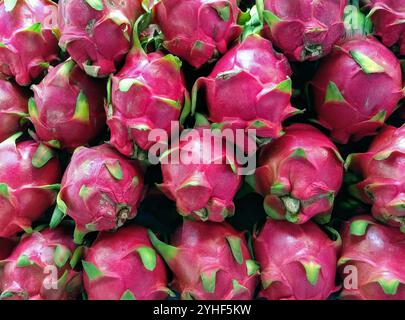 Frisch reife rote Drachenfrucht, Pitaya Frucht, Markt für Produkte, Bangkok, Thailand Stockfoto